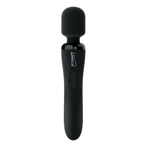 hitachi-2